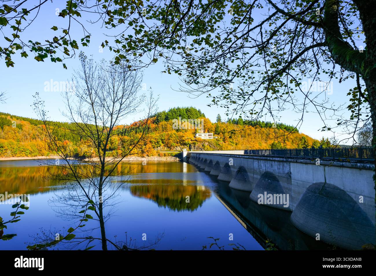 Vista della diga di Oleftalsperre e del paesaggio circostante. Natura al lago vicino al parco nazionale Eifel vicino a Hellenthal, nella Hohes Venn-Eifel N Foto Stock