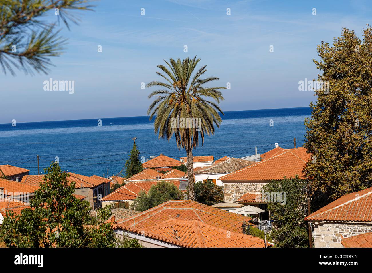 Villaggio mediterraneo con tetti di tegole rosse e una palma sul mare. Foto Stock