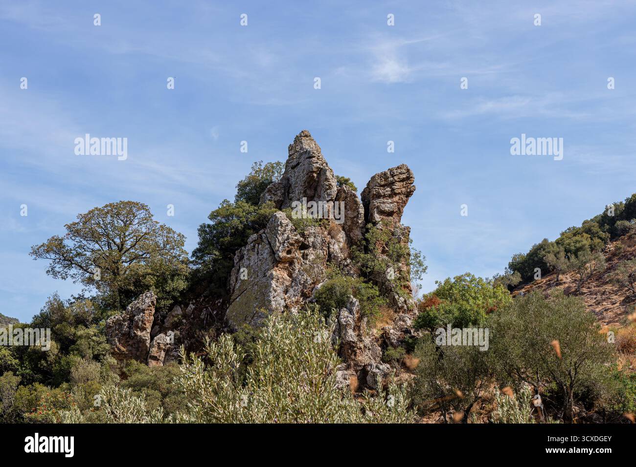 Collina rocciosa con alberi sotto un cielo azzurro Foto Stock