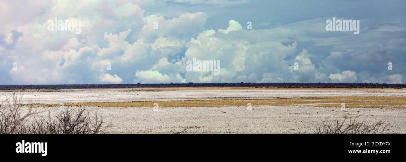 Il Makgadikgadi Pan è una salina situata nel mezzo della savana secca del Botswana nord-orientale Foto Stock