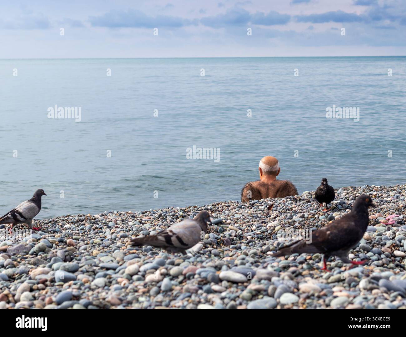 Un anziano molto peloso seduto sulla spiaggia circondato da piccioni Foto Stock