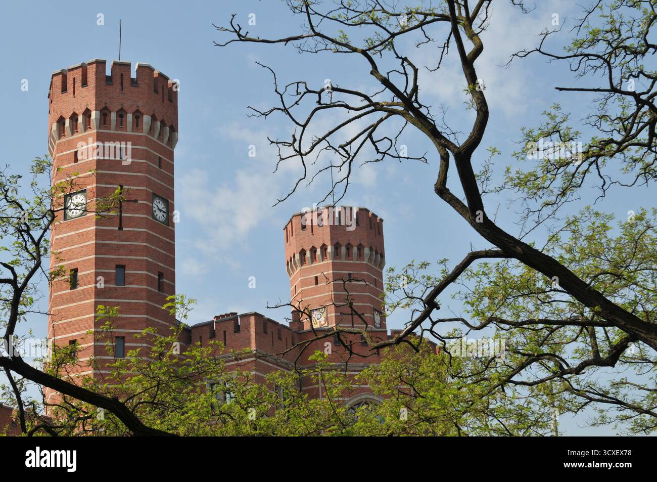 Torri in mattoni rossi neogotici di uno storico edificio pubblico a Breslavia, Polonia, viste attraverso i rami degli alberi primaverili. Foto Stock