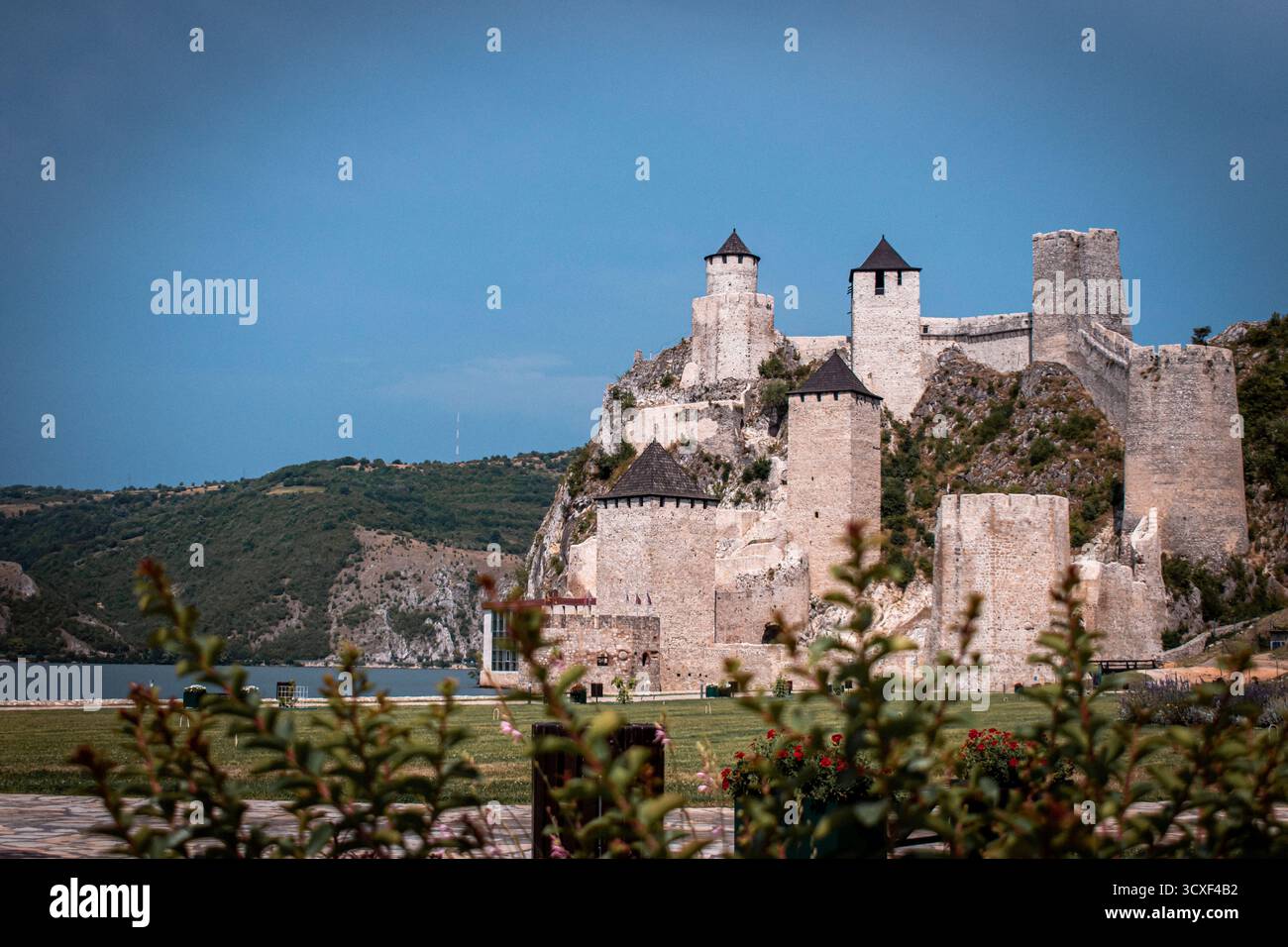 La fortezza Golubac in Serbia, una città fortificata medievale su una collina rocciosa. Situato vicino al fiume Danubio. I terreni del castello presentano un lussureggiante prato verde. Foto Stock