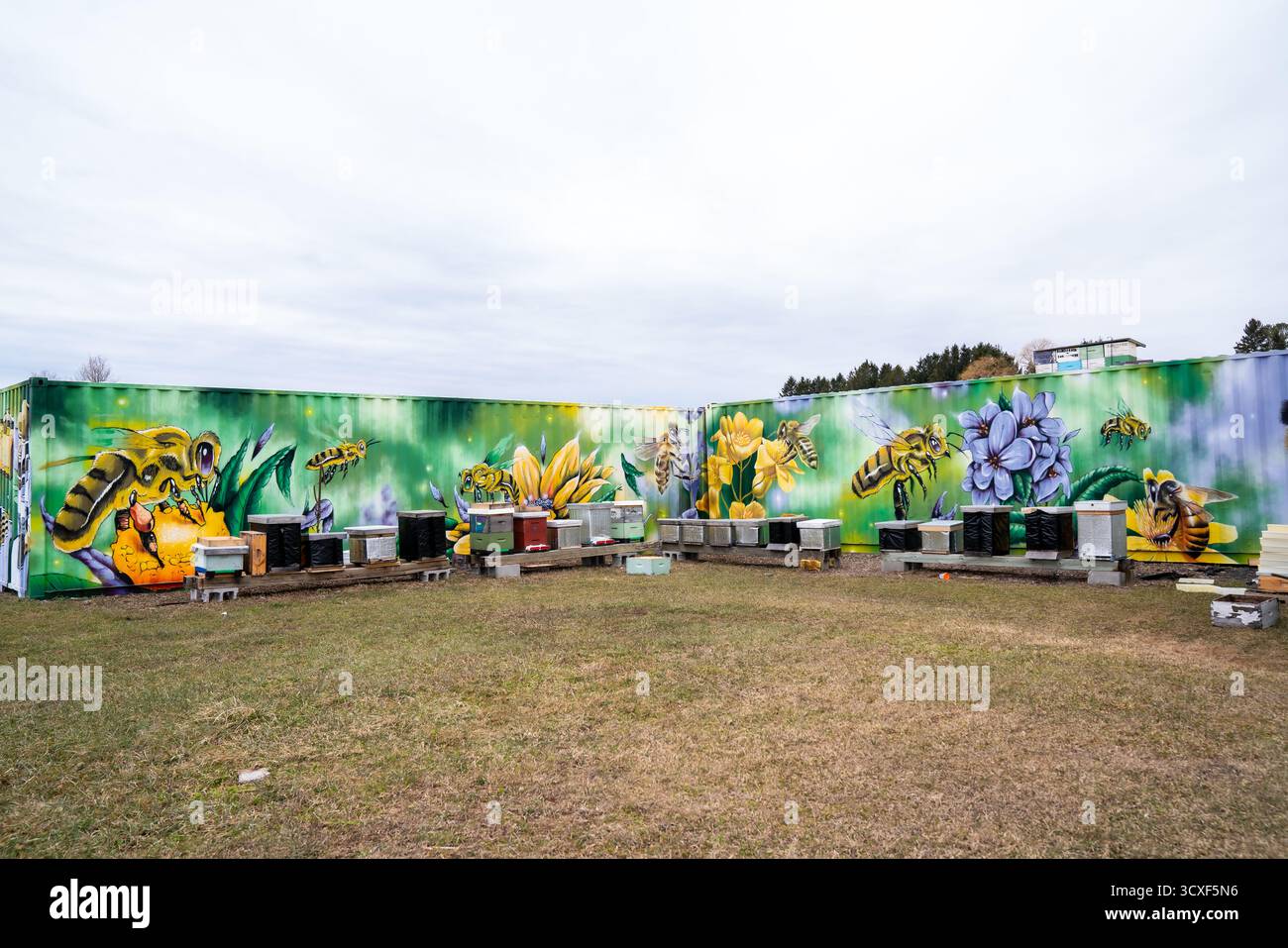 Murale colorato con api da miele giganti e fiori dipinti sulle pareti di un apiario, circondato da file di alveari attivi su un campo erboso Foto Stock