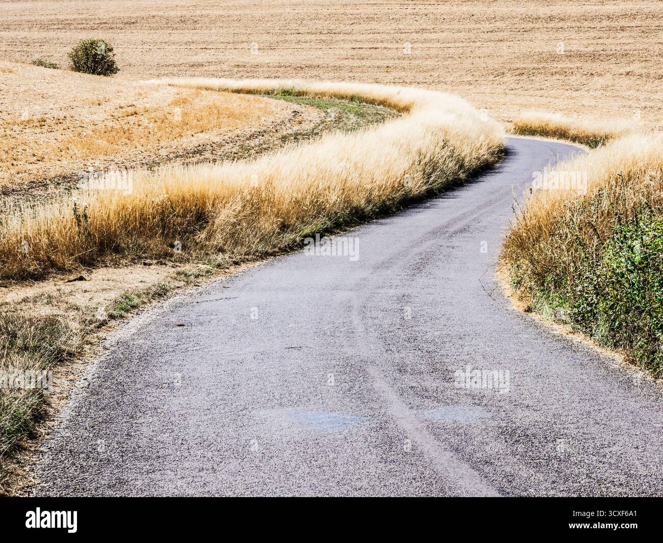 Un paesaggio rurale astratto vicino a Hungerford nel Berkshire. Foto Stock