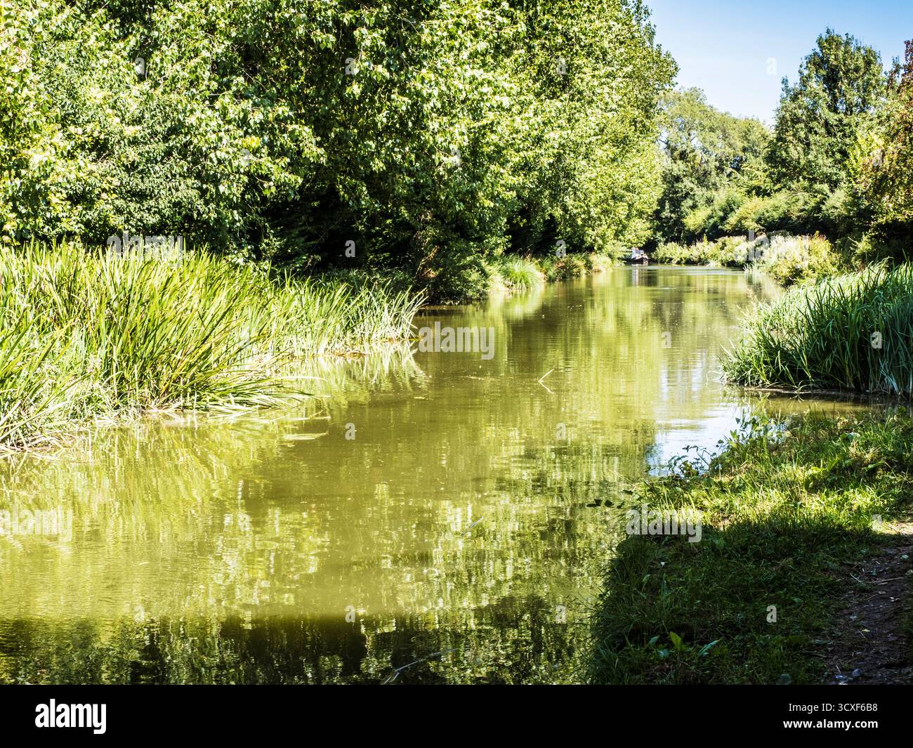 Il canale Kennet e Avon vicino a Hungerford nel Berkshire. Foto Stock