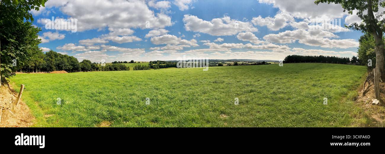 Una vista panoramica di vibranti terreni agricoli, che mostra vibranti prati verdi e alberi sparsi sotto un cielo azzurro limpido con soffici nuvole bianche, creando Foto Stock