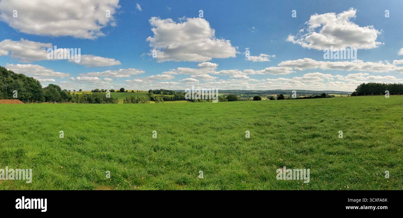 Ampia vista sulla campagna con campi verdeggianti, alberi sparsi e un vasto cielo blu con soffici nuvole. Foto Stock