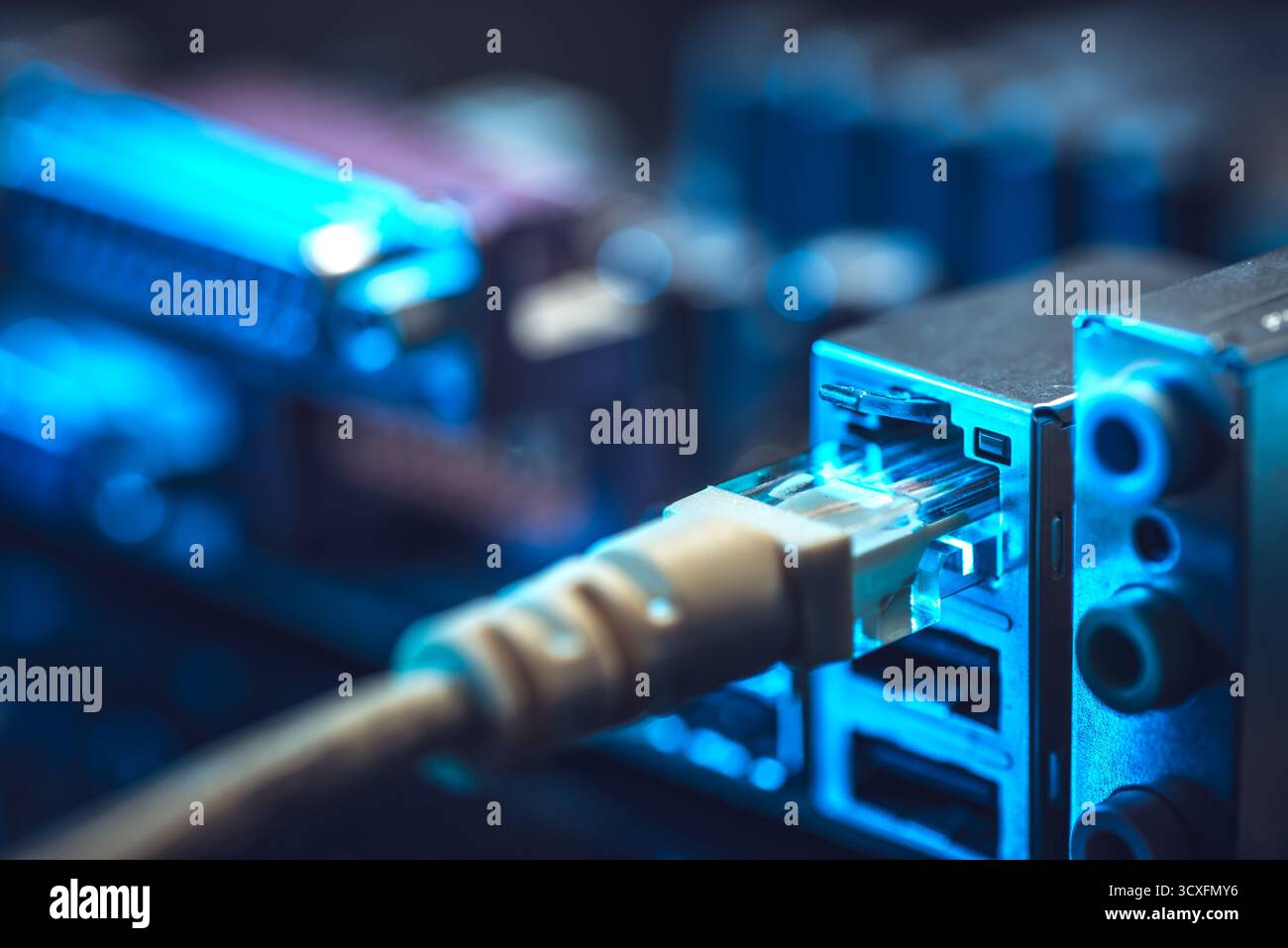 Cavi in fibra ottica collegati a porte ottiche e cavi di rete collegati a porte ethernet. Foto Stock