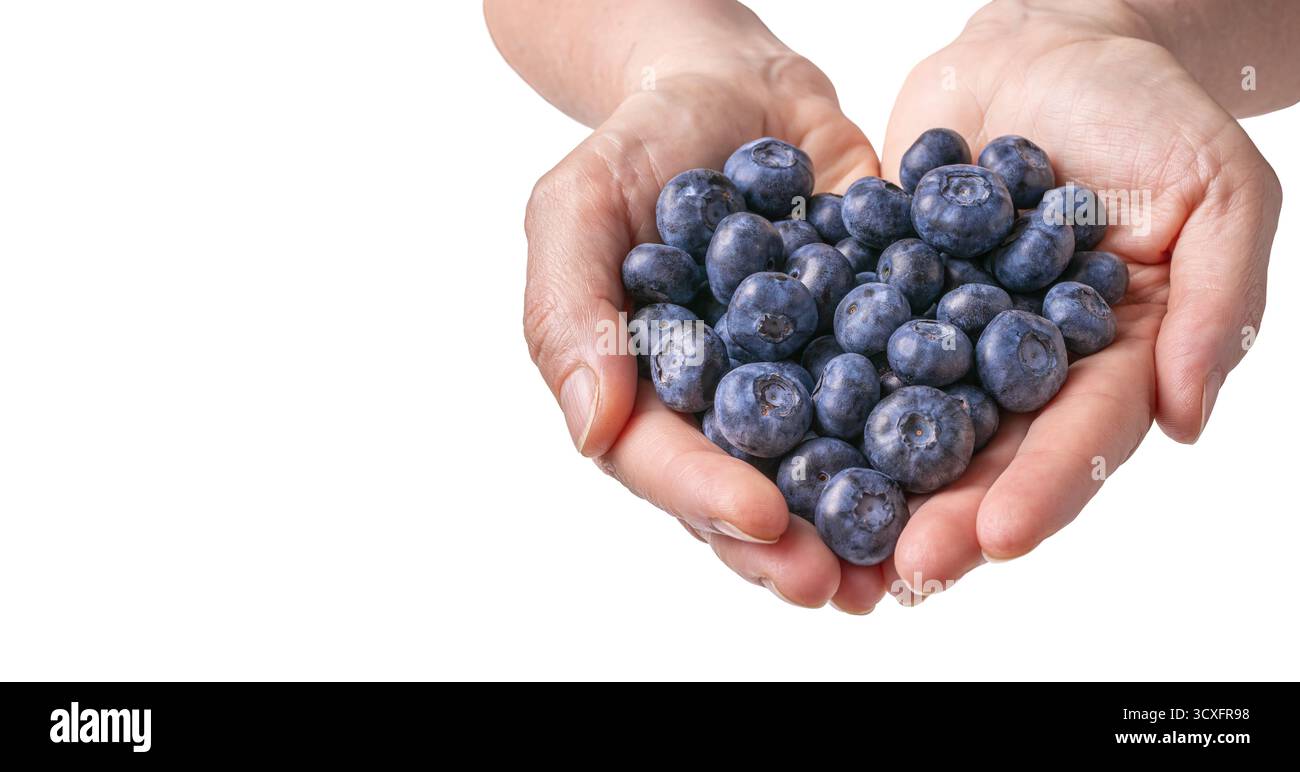 Bacche di mirtillo tenute in mano a formare una forma di cuore su sfondo bianco, concetto di amore sano. Foto Stock