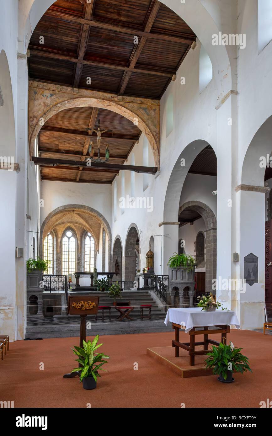Interno dell'abbazia dell'XI secolo Chiesa di San Pietro / Église abbatiale Saint-Pierre d'Hastière, Hastière-par-delà, provincia di Namur, Vallonia, Belgio Foto Stock