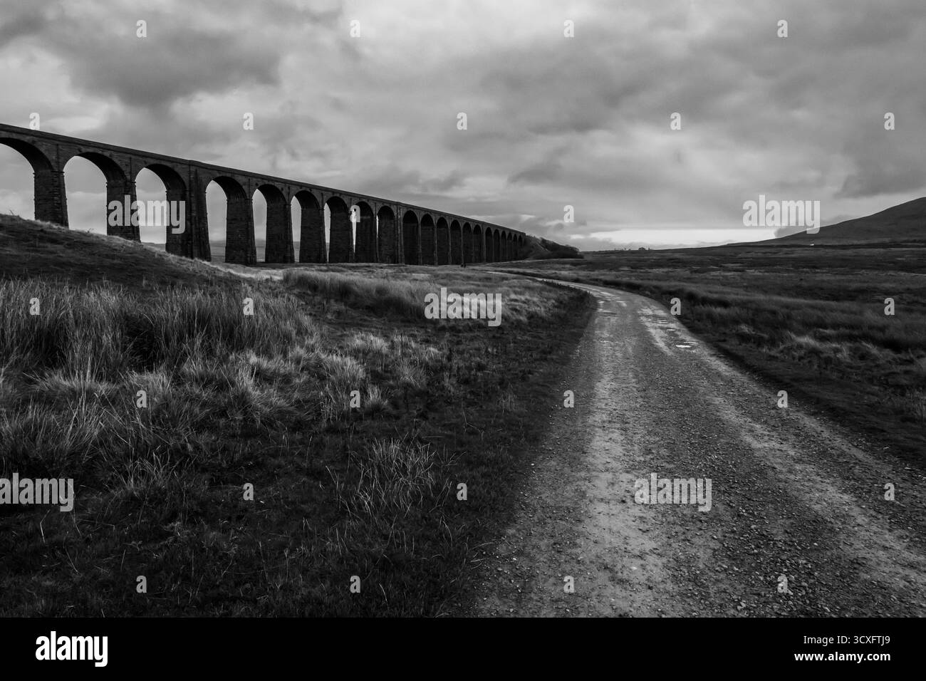 Viadotto Ribblehead, Yorkshire Foto Stock