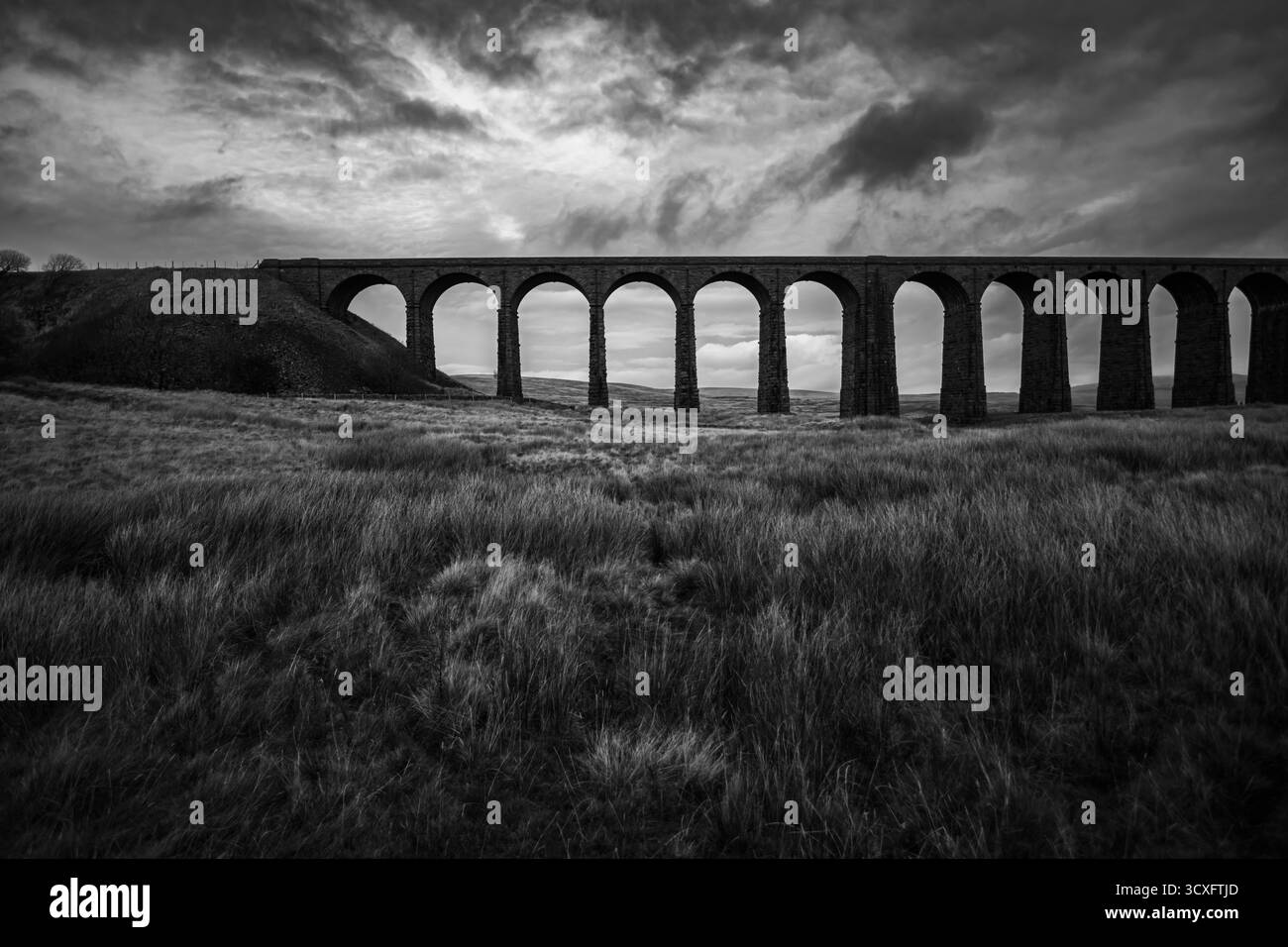Viadotto Ribblehead, Yorkshire Foto Stock