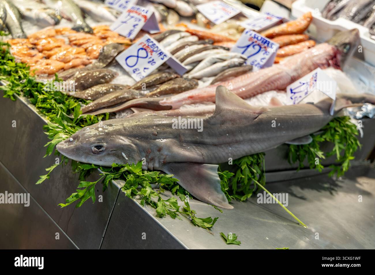 Una stalla che vende pesce in un mercato. Presentato in modo splendido e su ghiaccio. Compratori di pesce al Mercado Central de Abastos de Cdiz, Atlantico, Spagna Foto Stock
