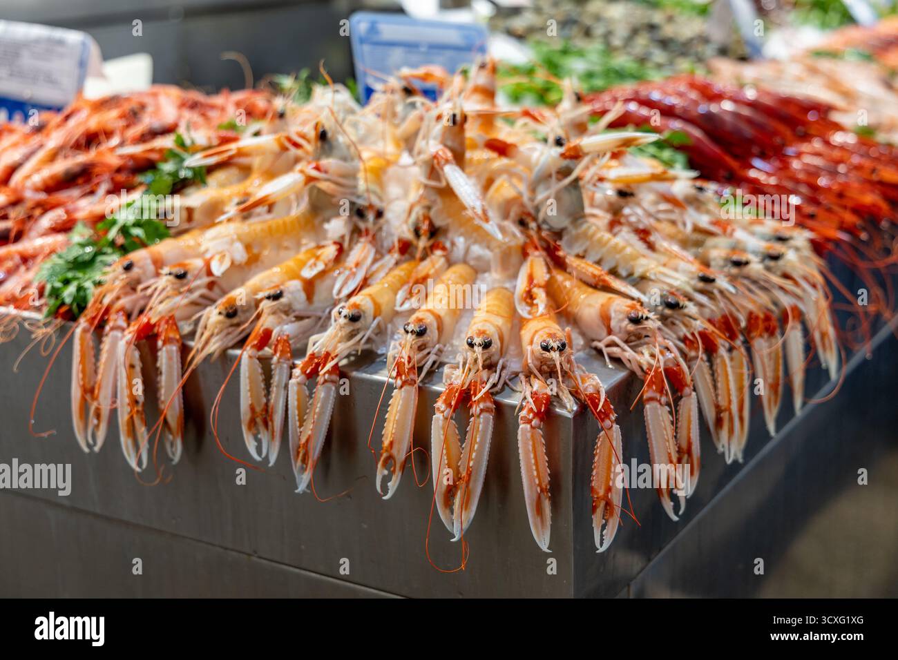 Una stalla che vende pesce in un mercato. Presentato in modo splendido e su ghiaccio. Compratori di pesce al Mercado Central de Abastos de Cdiz, Atlantico, Spagna Foto Stock