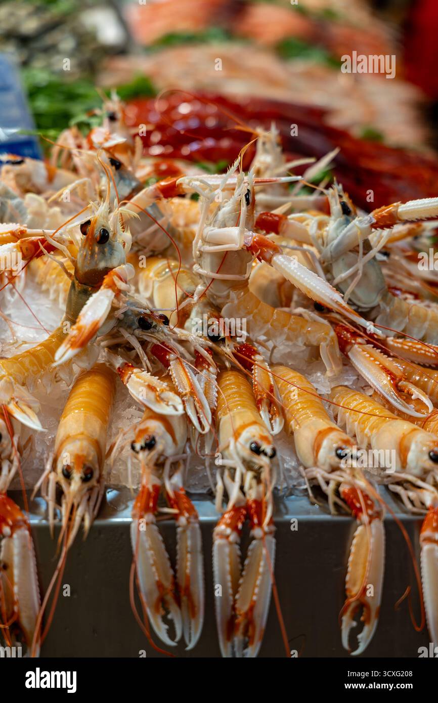 Una stalla che vende pesce in un mercato. Presentato in modo splendido e su ghiaccio. Compratori di pesce al Mercado Central de Abastos de Cdiz, Atlantico, Spagna Foto Stock