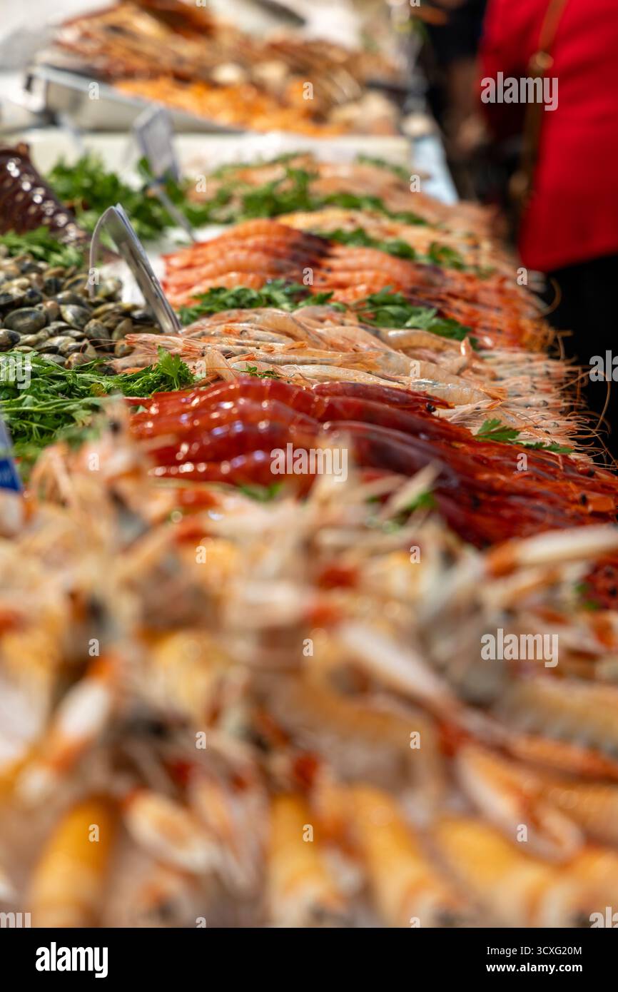 Una stalla che vende pesce in un mercato. Presentato in modo splendido e su ghiaccio. Compratori di pesce al Mercado Central de Abastos de Cdiz, Atlantico, Spagna Foto Stock