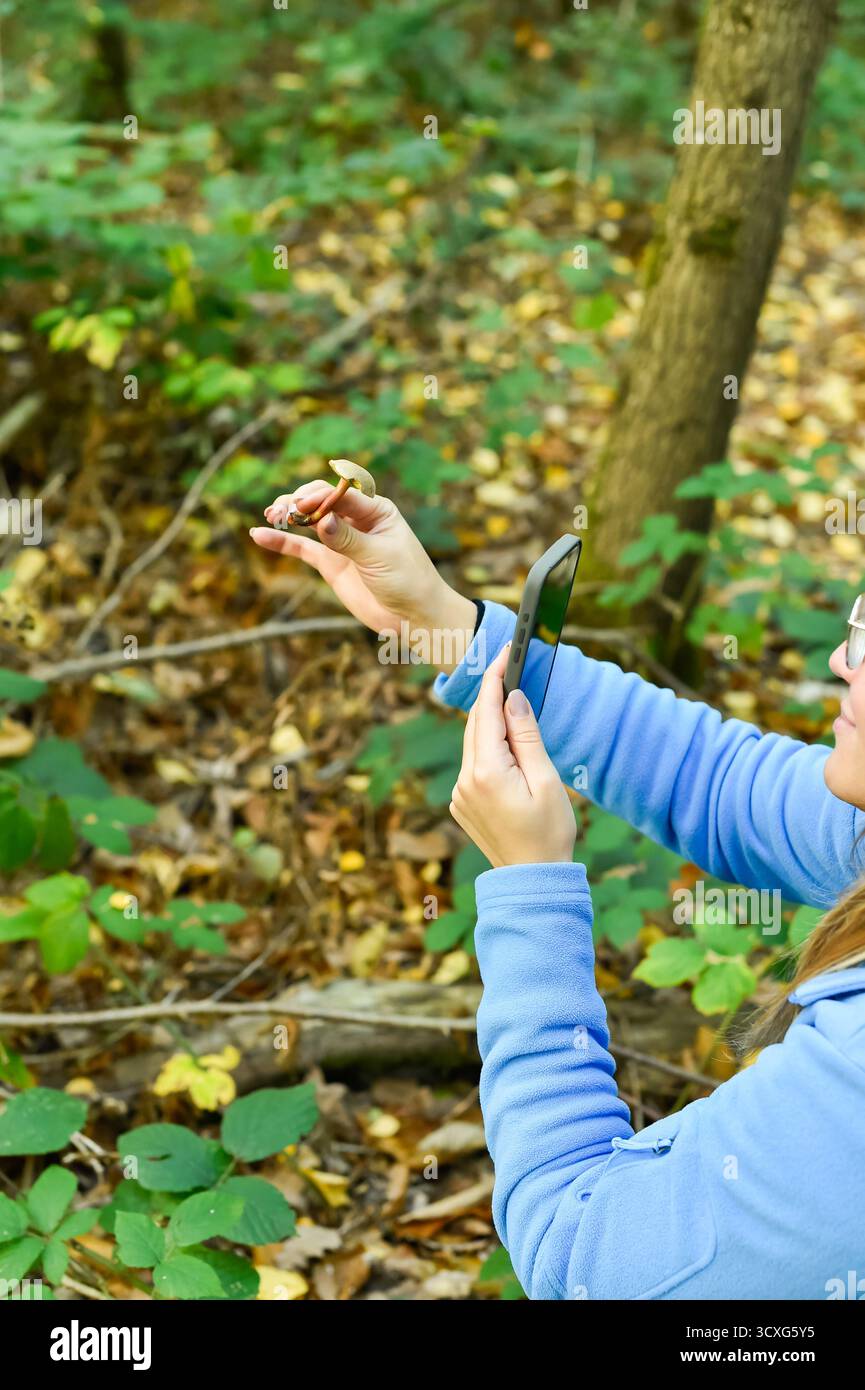 Una donna con una giacca blu tiene un piccolo fungo selvatico, usando il suo smartphone per identificarlo in una foresta autunnale. Questa immagine verticale mette in risalto l'apprendimento e la ricerca di funghi moderni. Foto Stock