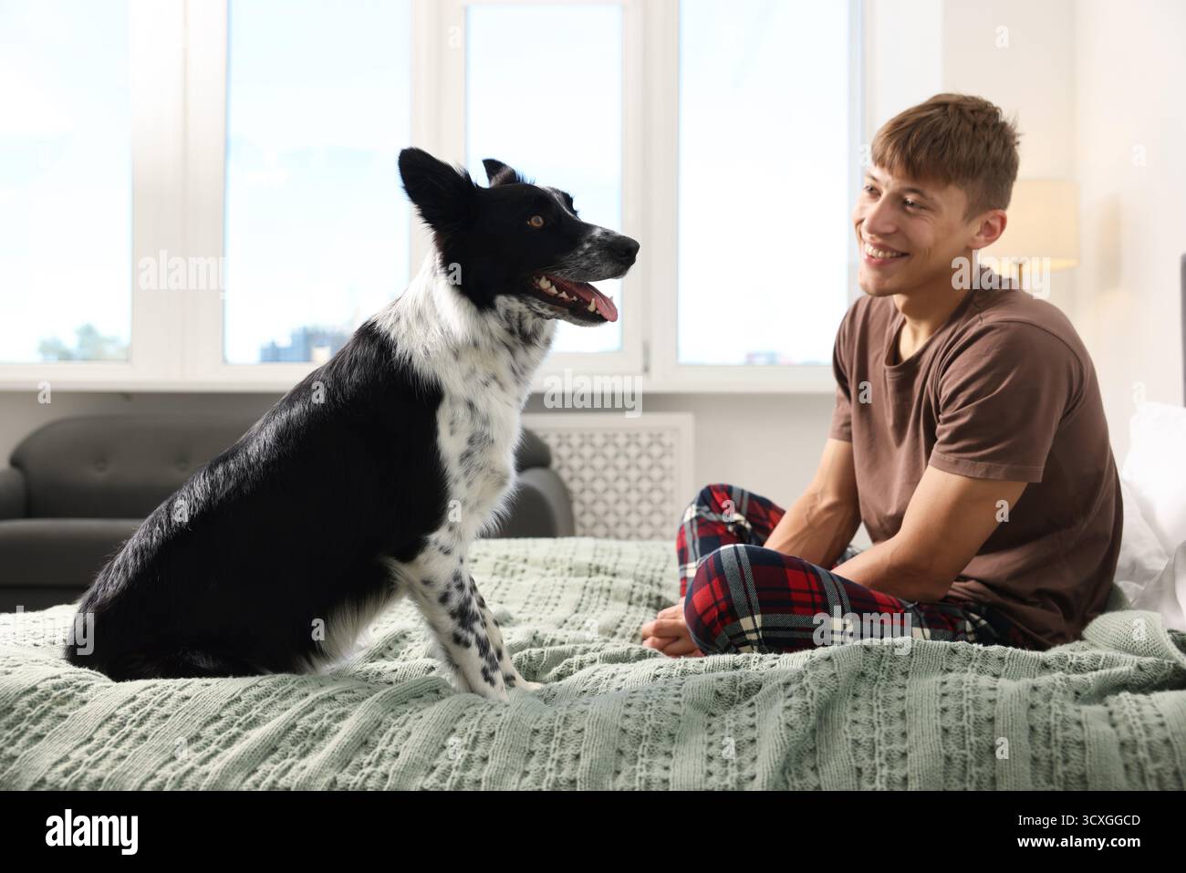 Hotel in cui sono ammessi gli animali domestici. L'uomo e il suo carino cane a letto al chiuso Foto Stock