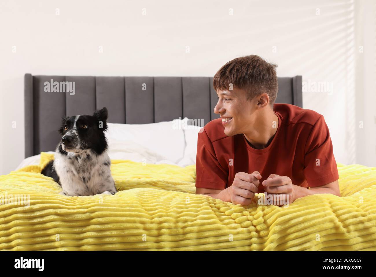 Hotel in cui sono ammessi gli animali domestici. L'uomo e il suo carino cane a letto al chiuso Foto Stock