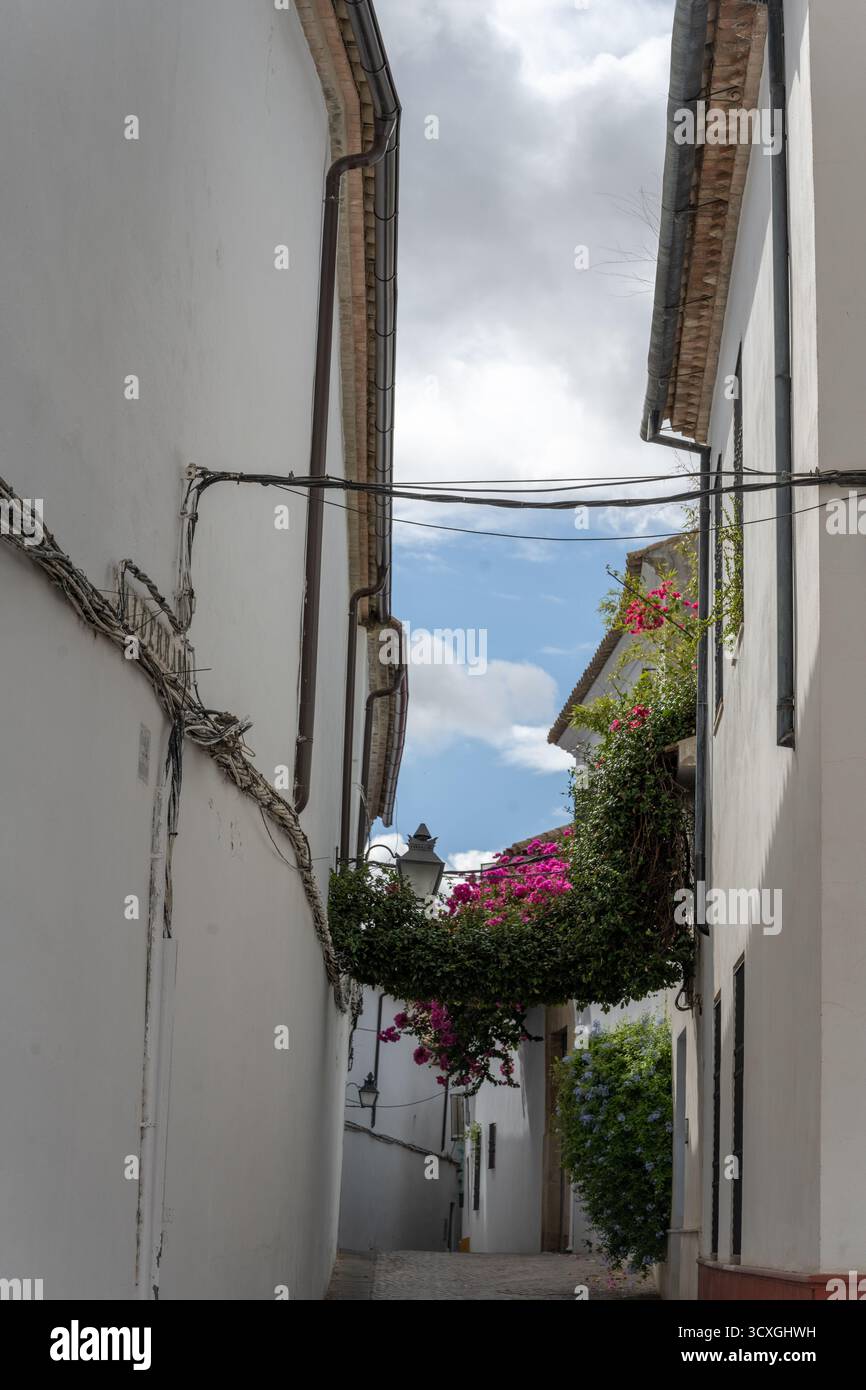 Tipica architettura andalusa a Cordova, Spagna Foto Stock