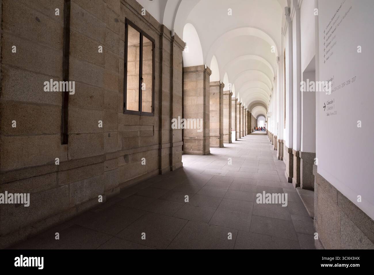 Museo Reina Sofía, Madrid, Spagna Foto Stock