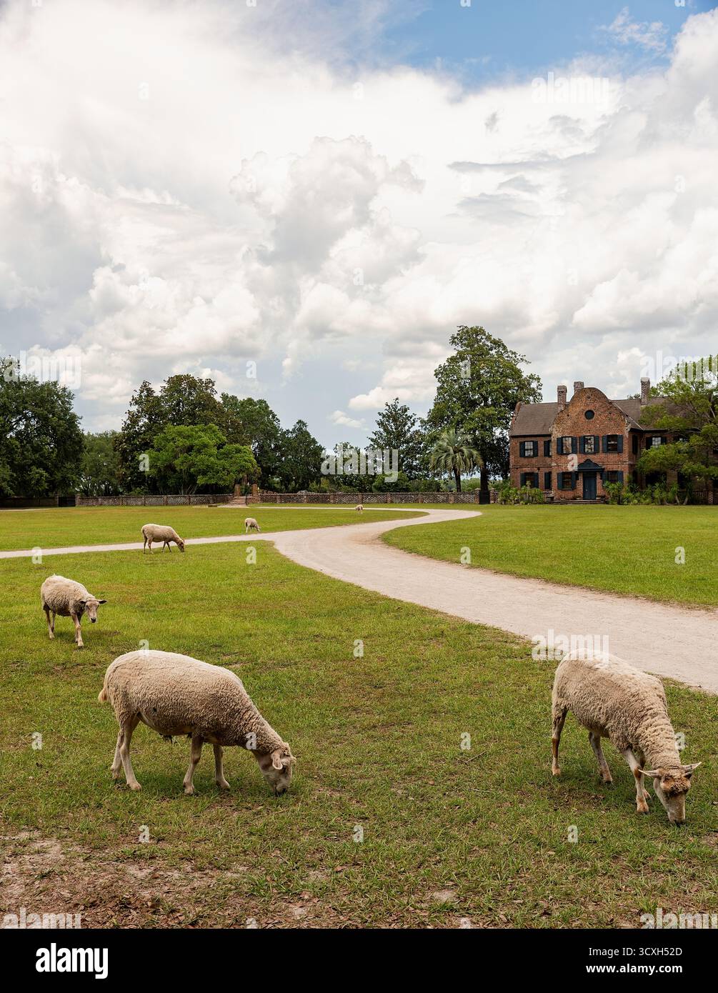 Middleton Place, Charleston, South Carolina Foto Stock