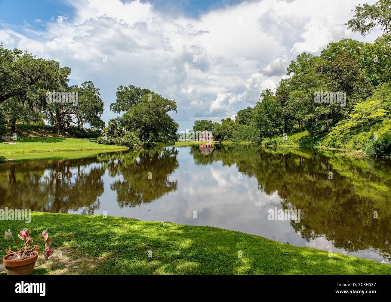 Middleton Place, Charleston, South Carolina Foto Stock