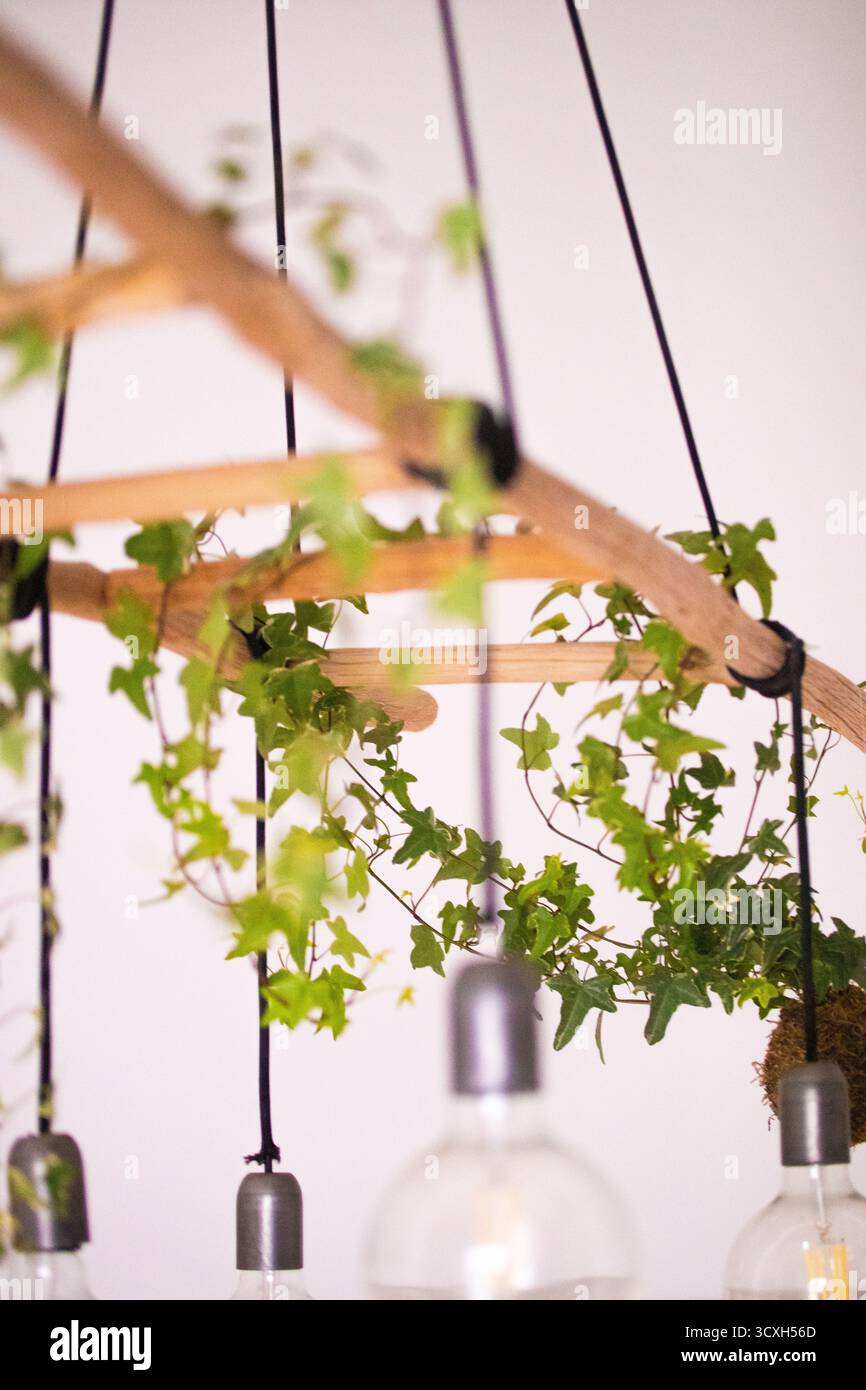 Lampadario rustico con edera e lampadine a vista, design naturale e moderno per interni ecocompatibili Foto Stock