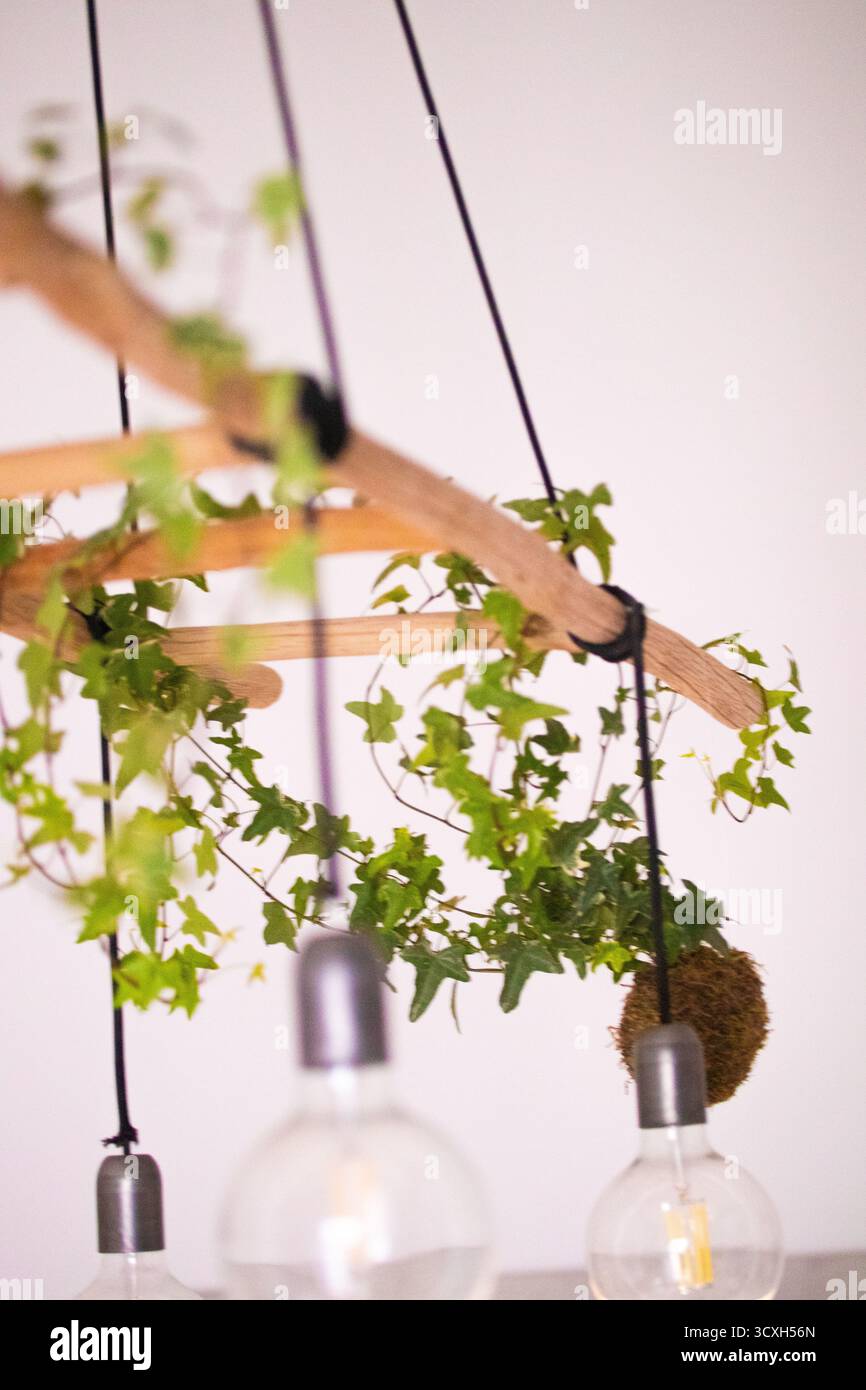 Lampadario rustico con edera e lampadine a vista, design naturale e moderno per interni ecocompatibili Foto Stock