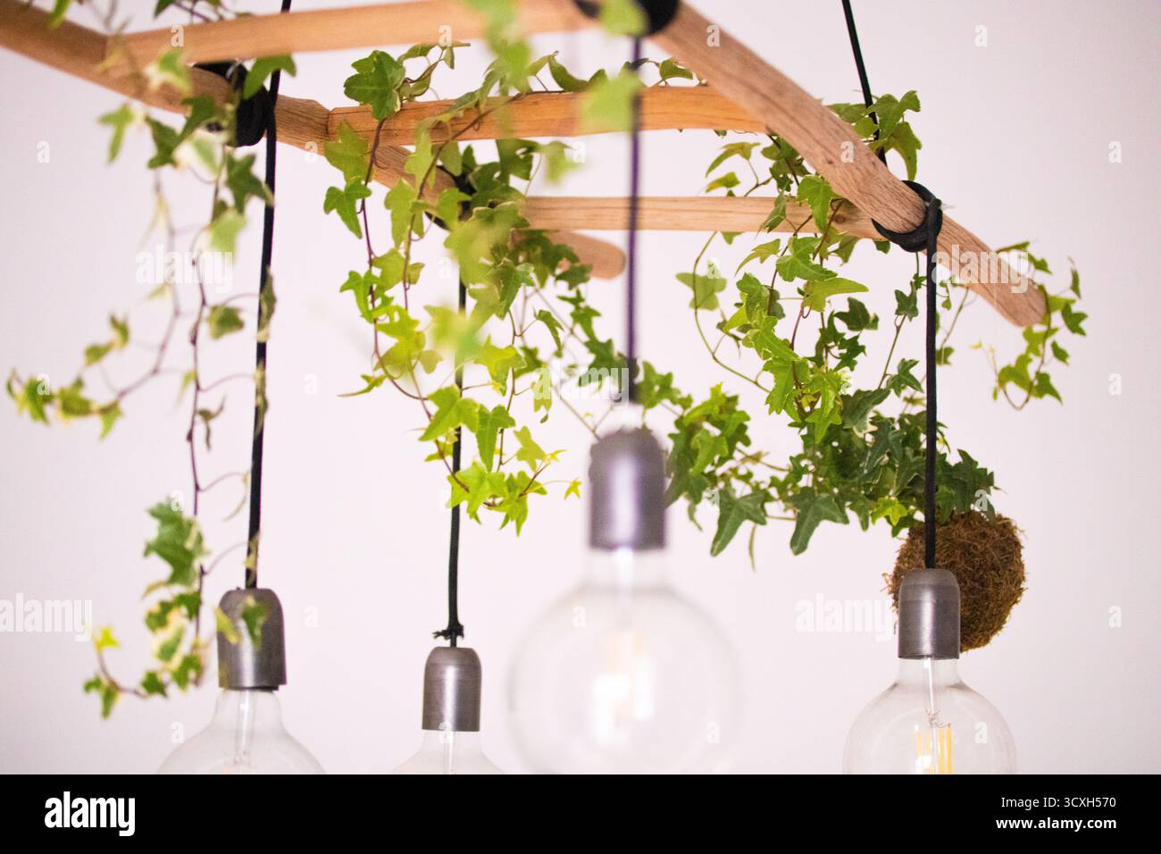 Lampadario rustico con edera e lampadine a vista, design naturale e moderno per interni ecocompatibili Foto Stock
