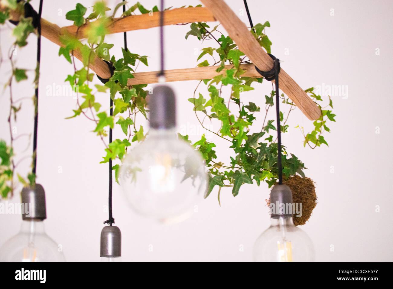 Lampadario rustico con edera e lampadine a vista, design naturale e moderno per interni ecocompatibili Foto Stock