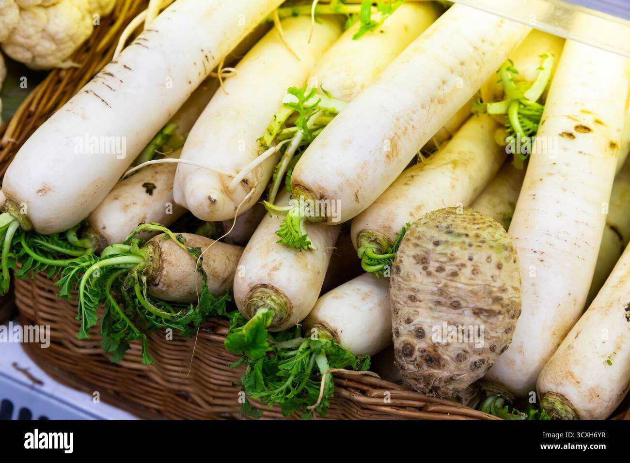 Rafano bianco esposto per la vendita al gregrocery Foto Stock