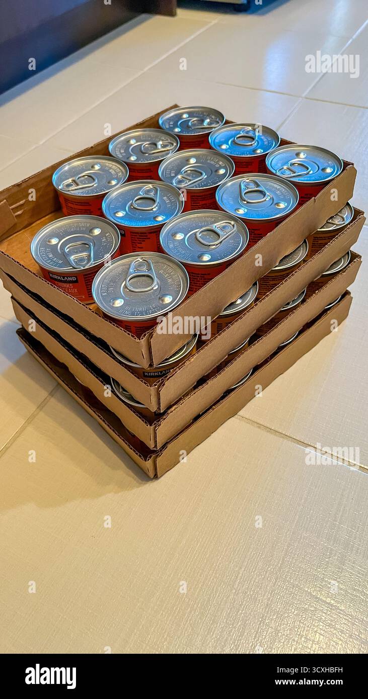 Ottawa ON, Canada - 7 settembre 2025: Pila di lattine di cibo umido per gatti in confezioni di cartone, con vari sapori e colori vivaci, ideale per animali domestici Foto Stock