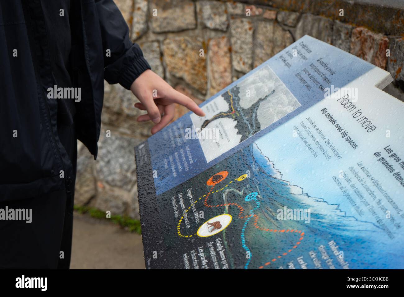 Segnale informativo con mappa della fauna selvatica, toccato dal dito di una persona. Radium Hot Springs, British Columbia Foto Stock