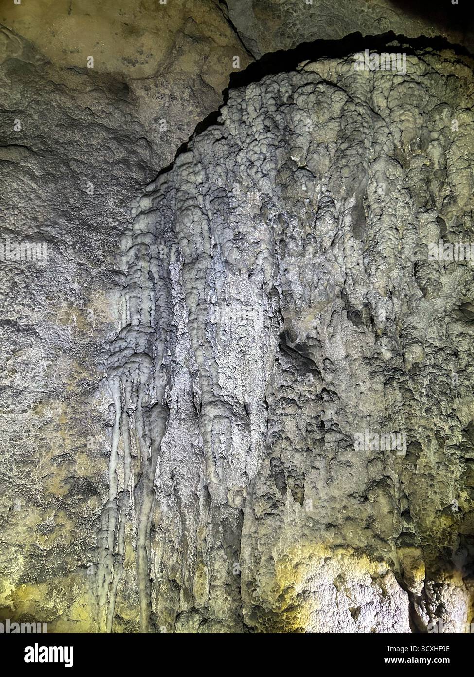 Vista ravvicinata delle splendide formazioni calcaree all'interno della Grotta di ghiaccio nel canyon di Uvac, in Serbia, illuminata per rivelare intricate texture e schemi naturali Foto Stock