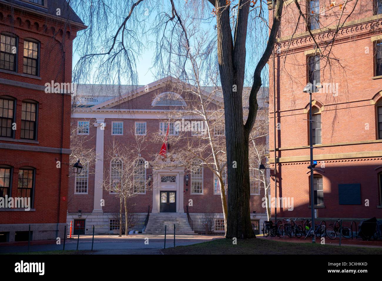 Edificio dell'Università di Harvard con una facciata in mattoni rossi e grandi colonne bianche incorniciate tra due altre strutture storiche di Harvard Yard Foto Stock