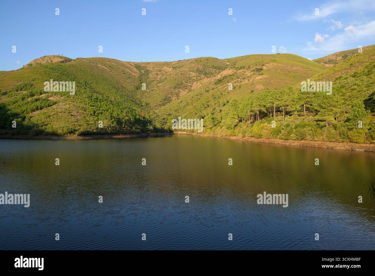 Vista panoramica di una tranquilla riserva montana circondata da verdi colline boscose sotto un cielo azzurro. La luce del sole mette in risalto la struttura delle pendenze Foto Stock