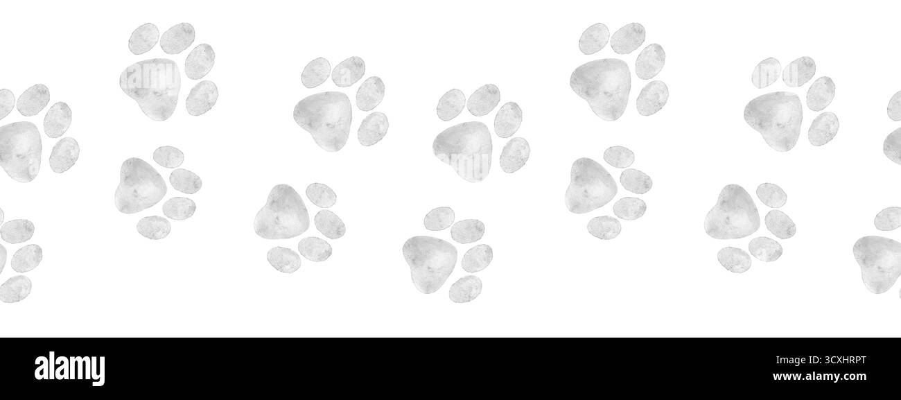 Bordo senza cuciture in acquerello con morbide stampe grigie delle zampe che formano una linea divertente e senza cuciture. Perfetto per la stampa tessile, la carta da imballaggio, il confezionamento di prodotti in PET Foto Stock