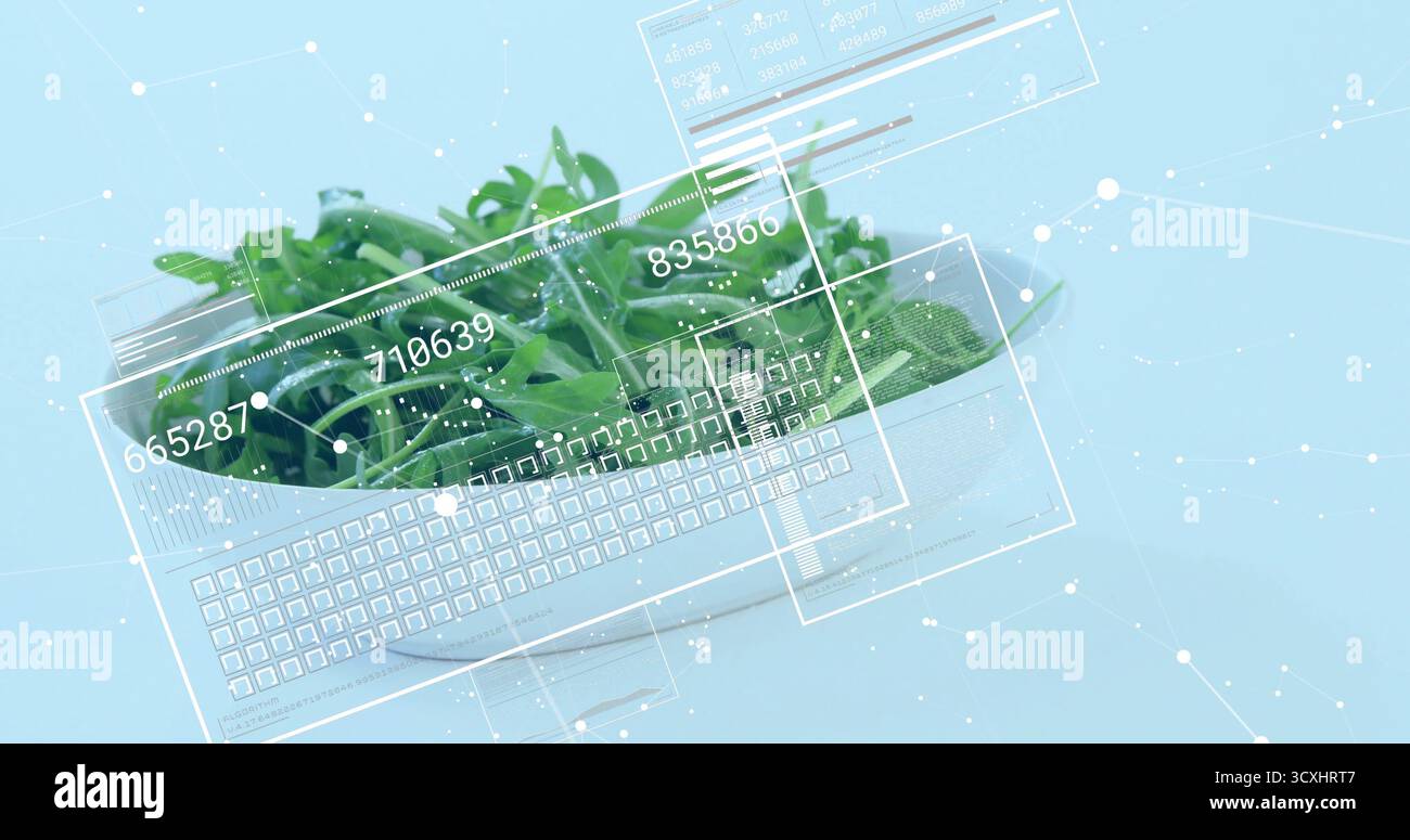 Visualizzazione di ciotola in ceramica bianca con foglie di rucola verde sul piano dello studio, sovrapposizioni digitali HUD Foto Stock