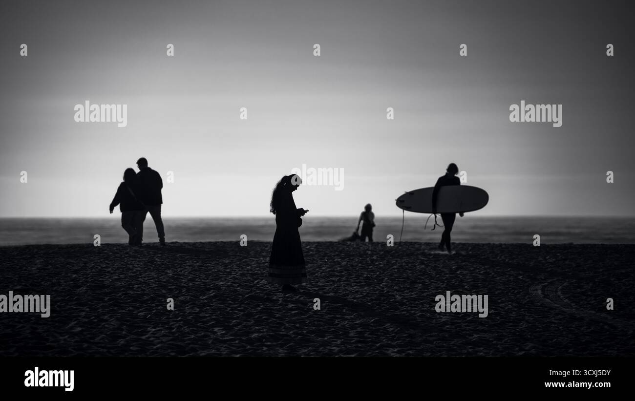 Collezione di silhouette dalle forme audaci, contrasto elevato e retroilluminazione creativa: Perfetta per l'arte, l'astratto, il minimo e l'arte. Foto Stock