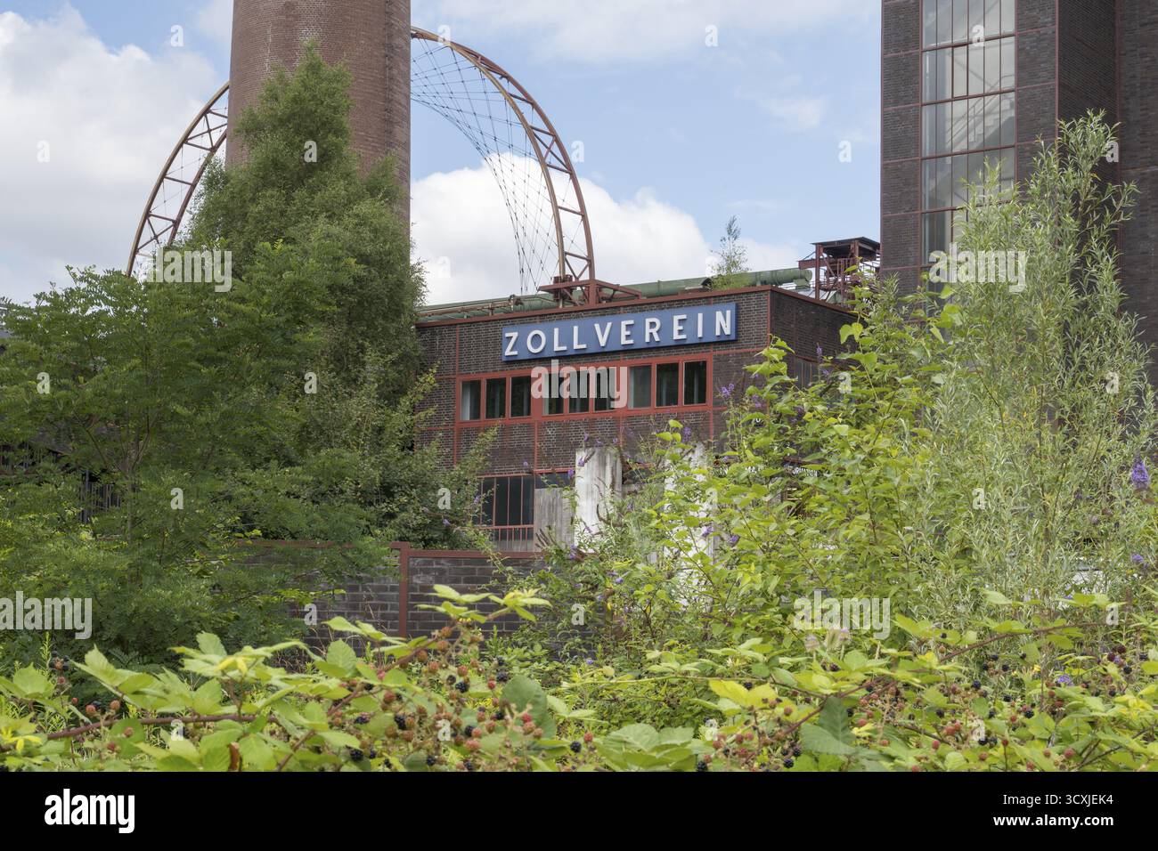 Impianto di cokeria Zollverein, centro visitatori, ruota panoramica, ruota panoramica alimentata a energia solare, cespugli di mora in primo piano, sito patrimonio dell'umanità dell'UNESCO, Essen Foto Stock