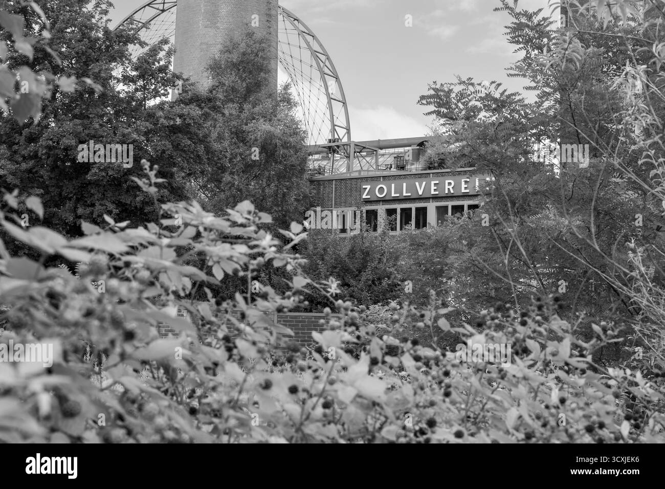 Impianto di cokeria Zollverein, centro visitatori, cespugli di mora in primo piano, ruota solare, foto in bianco e nero, sito patrimonio dell'umanità dell'UNESCO, Essen, Ruh Foto Stock