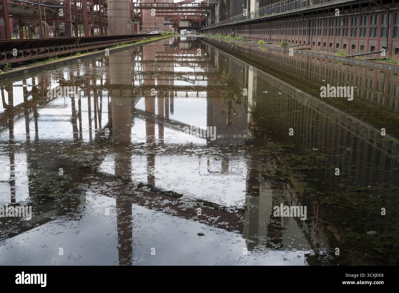 Si riflettono la cokeria Zollverein, le batterie dei forni di coke e i camini, il bacino idrico, sito patrimonio dell'umanità dell'UNESCO, Essen, la zona della Ruhr, la Renania settentrionale-occidentale Foto Stock