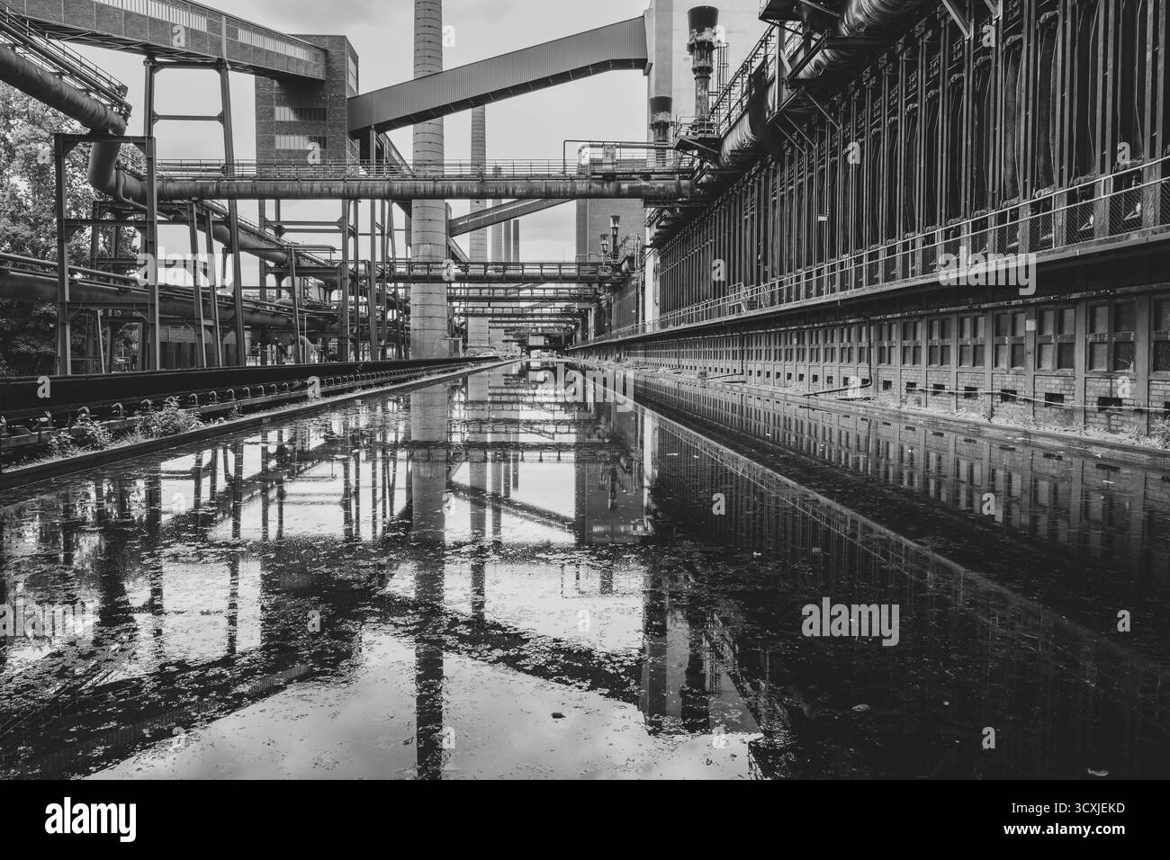La cokeria di Zollverein, le batterie dei forni di coke, i ponti a nastro e i camini si riflettono, il bacino d'acqua, la foto in bianco e nero, sito patrimonio dell'umanità dell'UNESCO Foto Stock