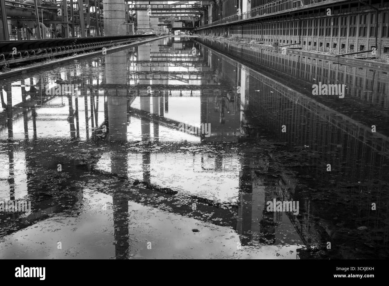 La cokeria di Zollverein, le batterie del forno di coke e i camini si riflettono, il bacino d'acqua, la foto in bianco e nero, sito patrimonio dell'umanità dell'UNESCO, Essen, Ruhr A. Foto Stock