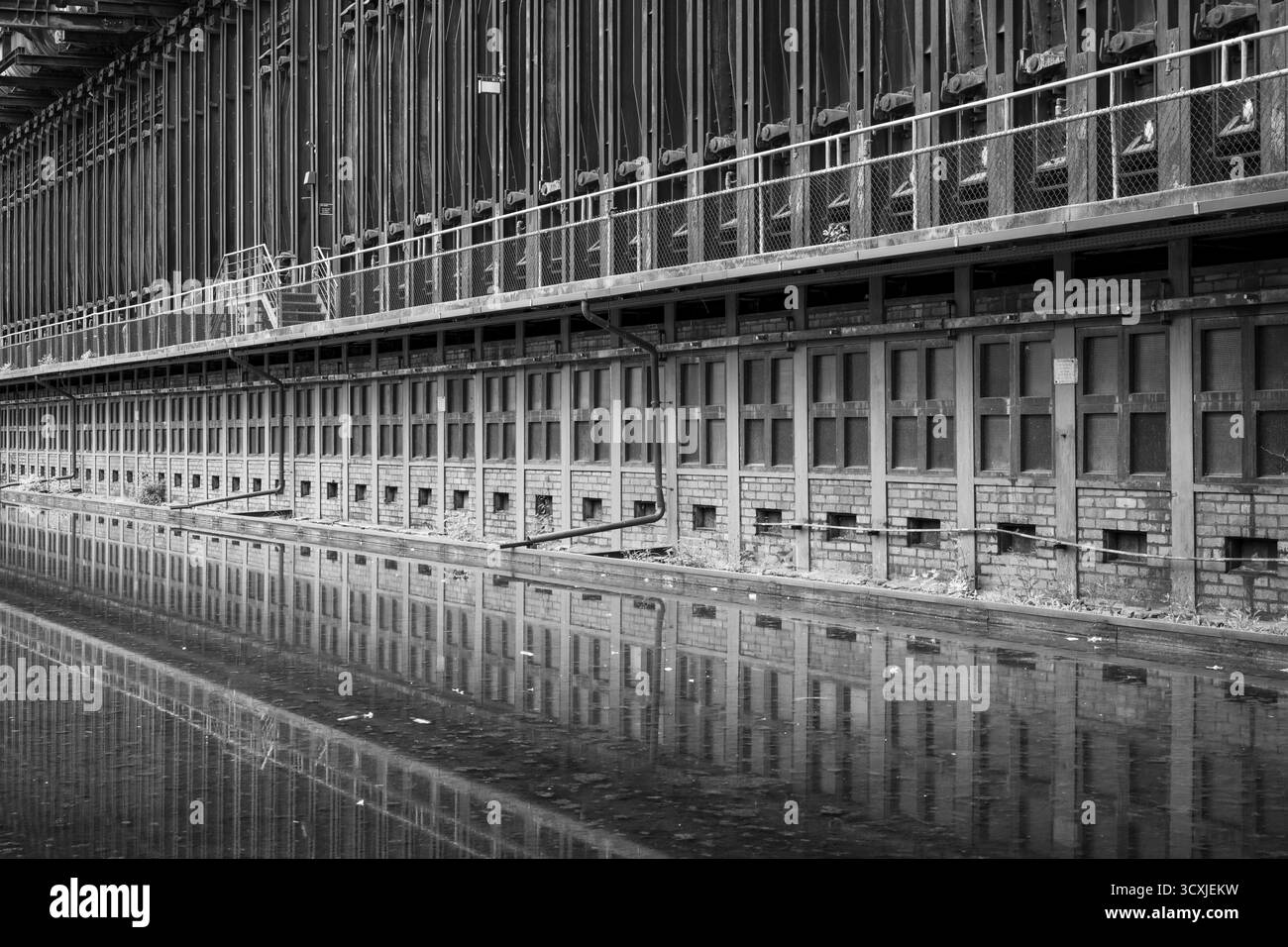 La cokeria Zollverein, le batterie dei forni di coke sono specchiate, il bacino d'acqua, la foto in bianco e nero, sito patrimonio dell'umanità dell'UNESCO, Essen, area della Ruhr, RHI settentrionale Foto Stock