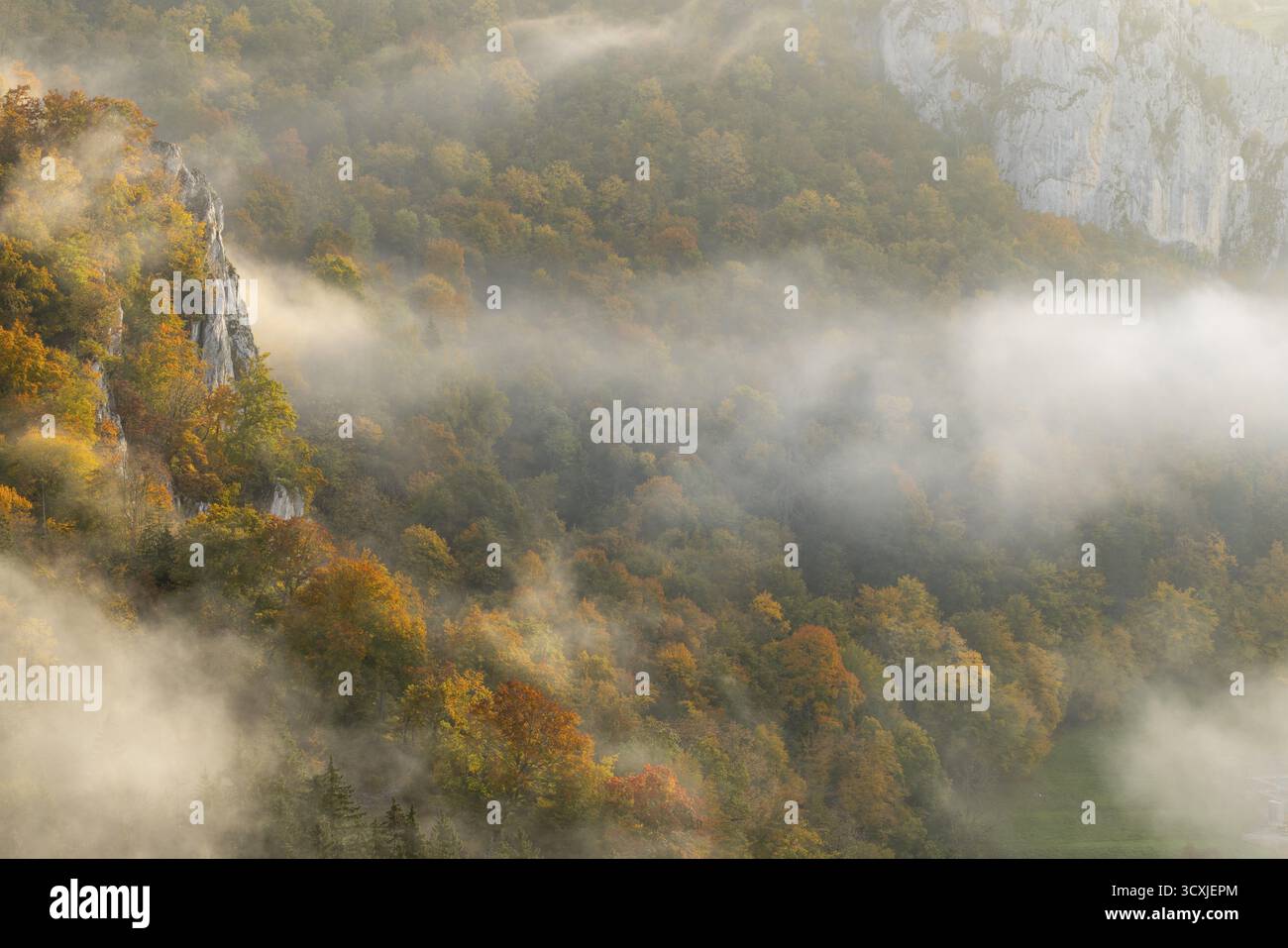 Vista dal Knopfmacherfelsen nella valle del Danubio, roccia calcarea, parete rocciosa, foresta mista, colori autunnali, nebbia, autunno, Fridingen, valle del Danubio Foto Stock