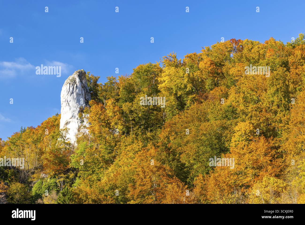 Ago di roccia nella foresta mista nei colori autunnali, roccia calcarea, autunno, valle del Danubio, parco naturale dell'alto Danubio, Baden-Wuerttemberg, Germania Foto Stock