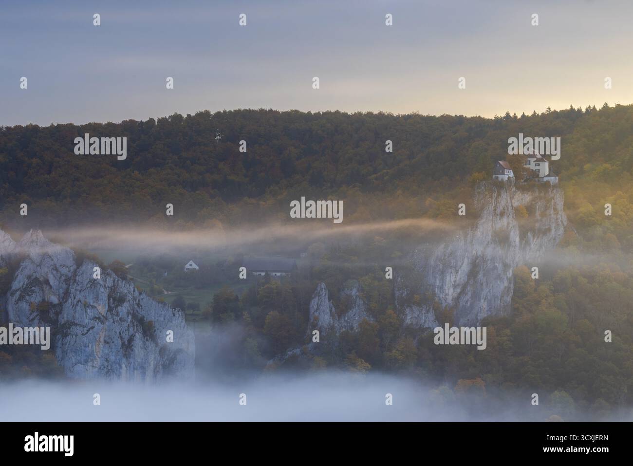 Vista dal Knopfmacherfelsen al castello di Bronnen, roccia calcarea, parete rocciosa, foresta mista, colori autunnali, nebbia, autunno, Fridingen, valle del Danubio, UPP Foto Stock